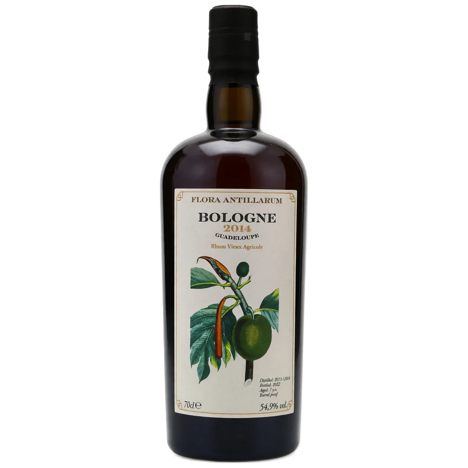 Bologne 7 Years Old 2014 Flora Antillarum Velier