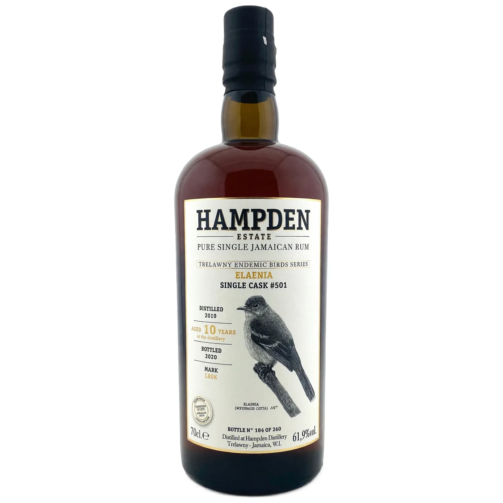 Hampden 10 Years Old 2010 Trelawny Endemic Birds Elaenia Velier