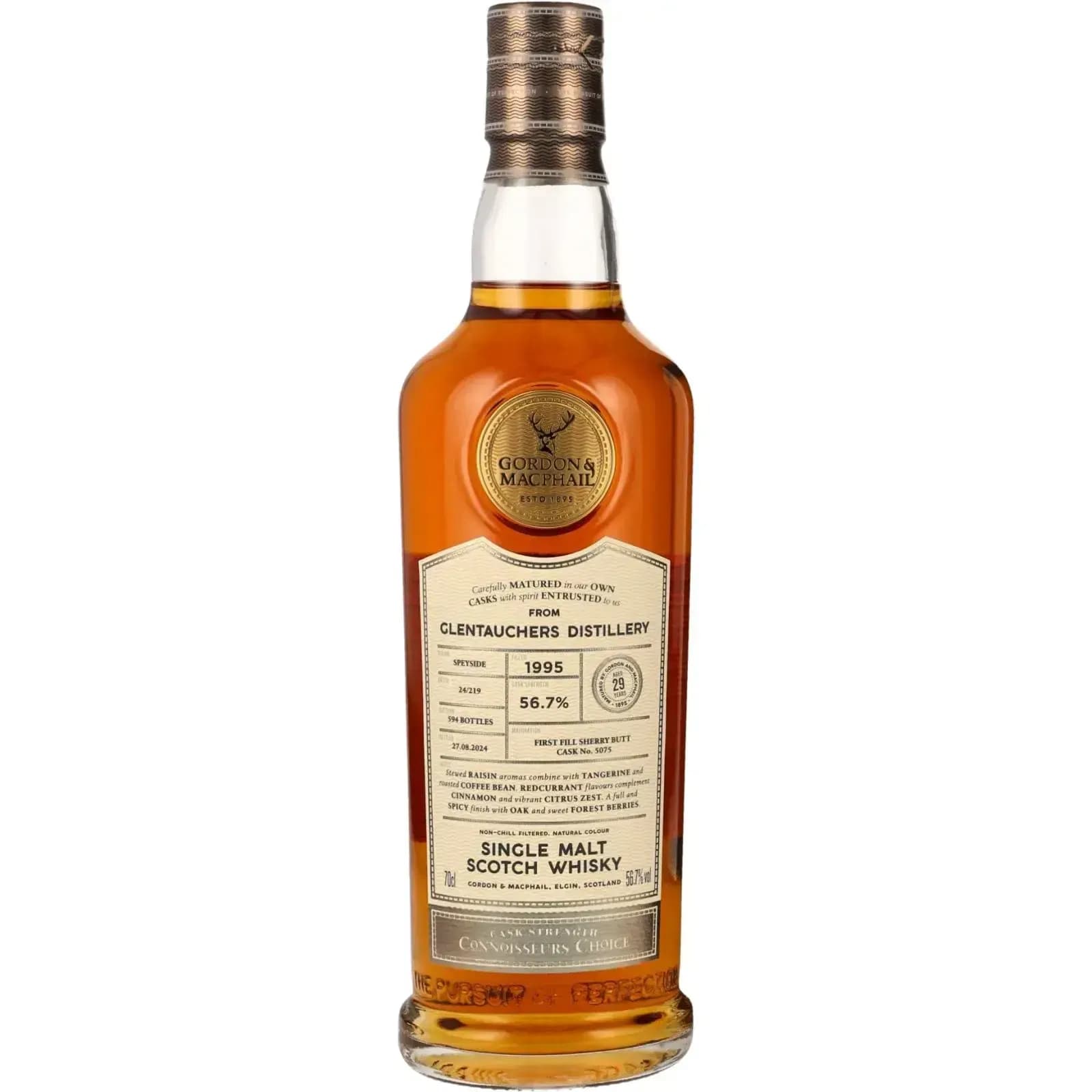 Glentauchers 29 Years Old 1995 Connoisseurs Choice Cask Strength Gordon & MacPhail 5075