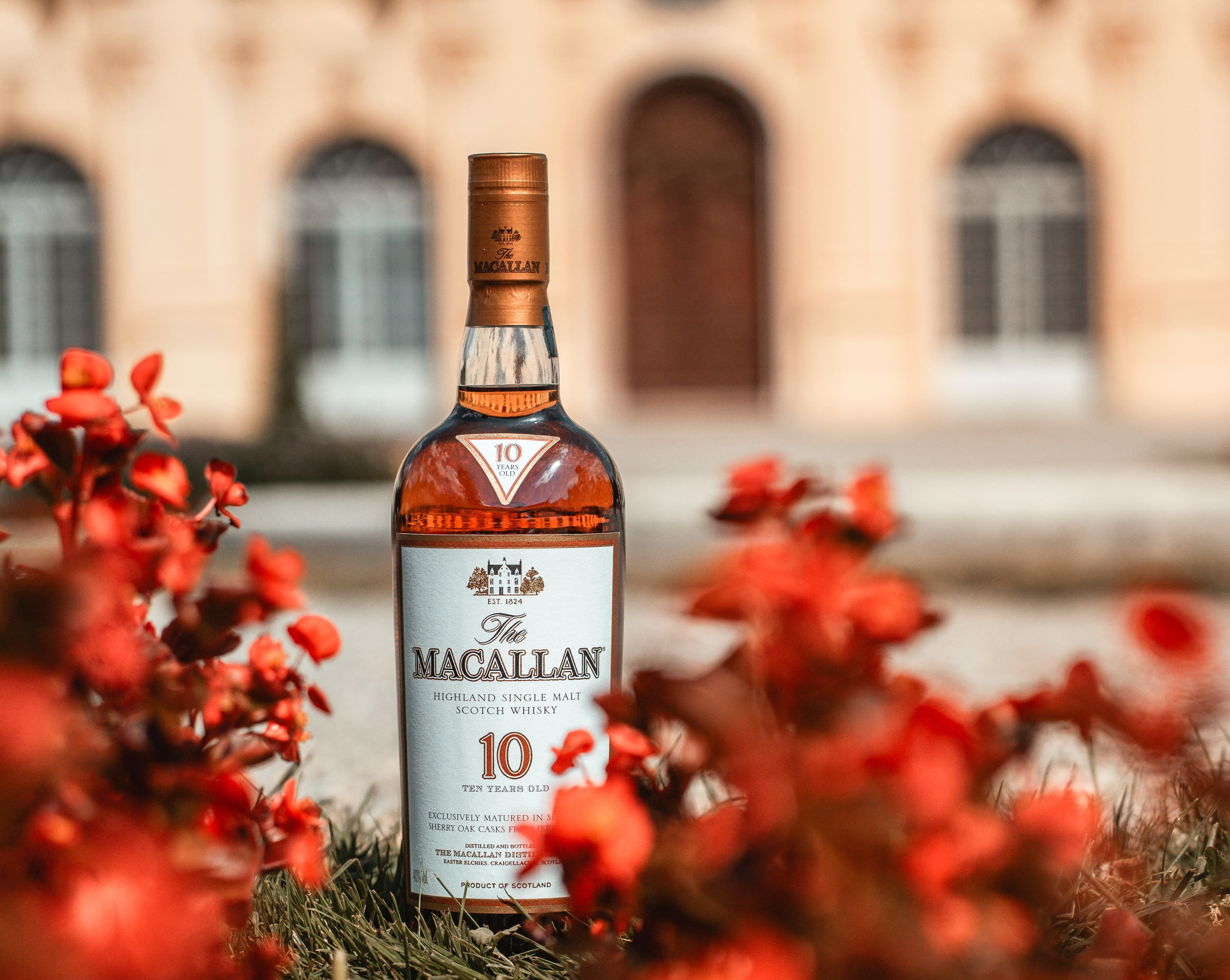 Macallan Timeless Distillery Part 2: Exploring the Harmony Collection, James Bond Edition & A Night on Earth