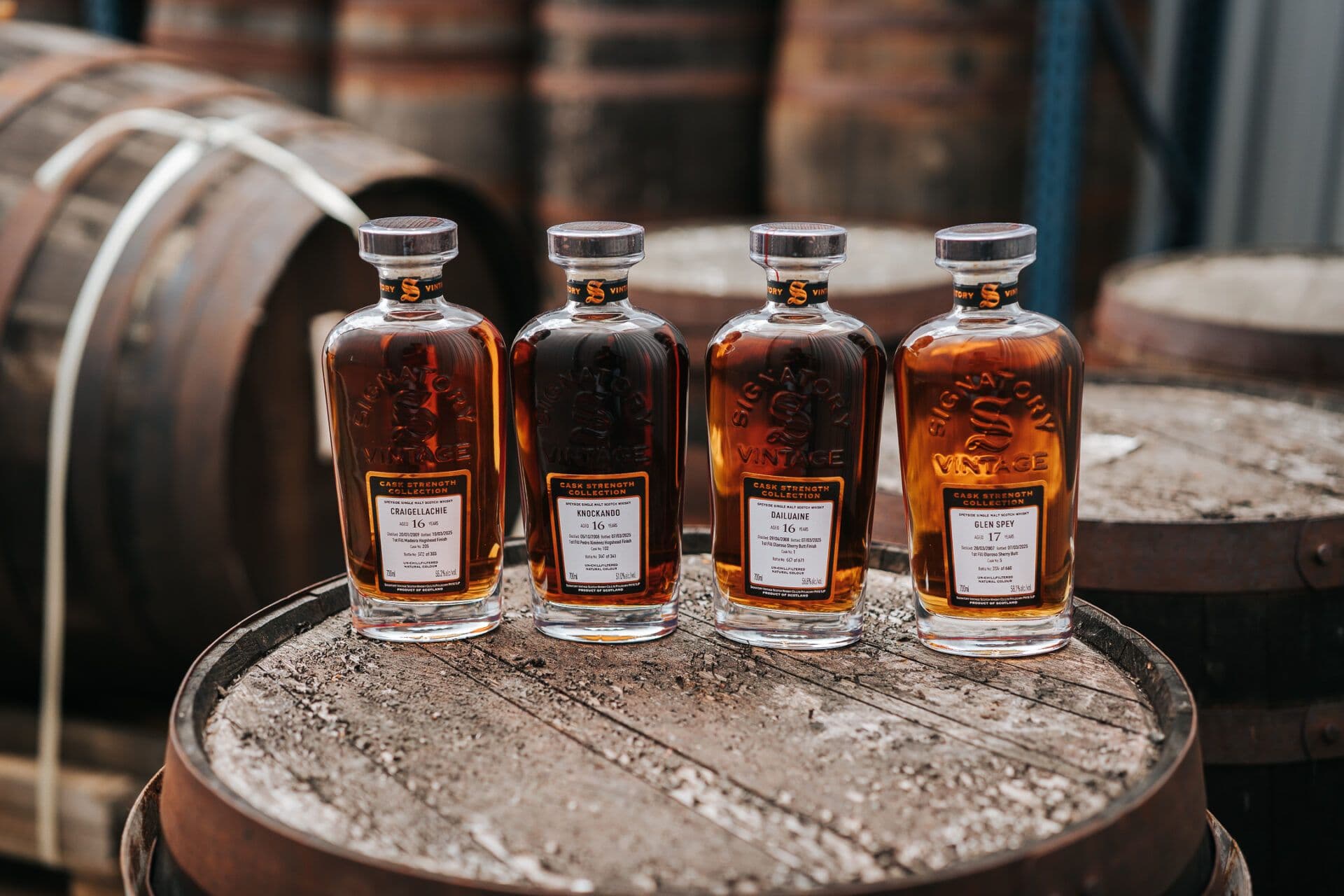 Signatory Vintage: Six New Cask Strength Whiskies Arrive
