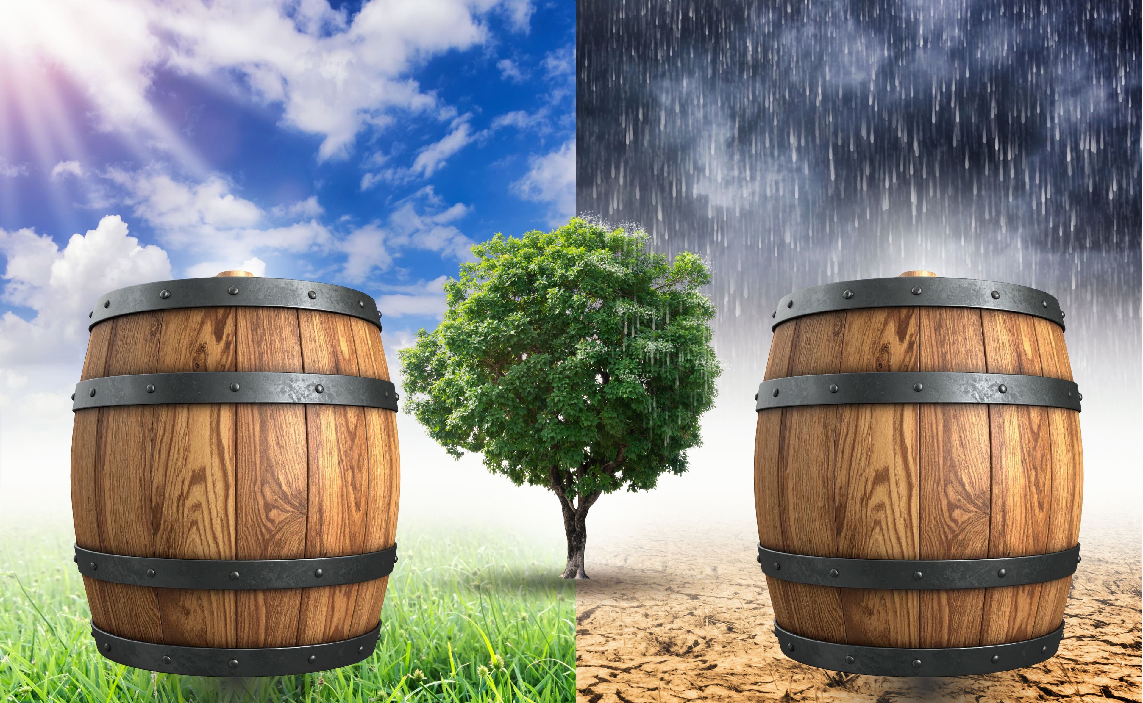 How Does Climate Affect Whisky Aging in Bourbon, Sherry, and Wine Casks?